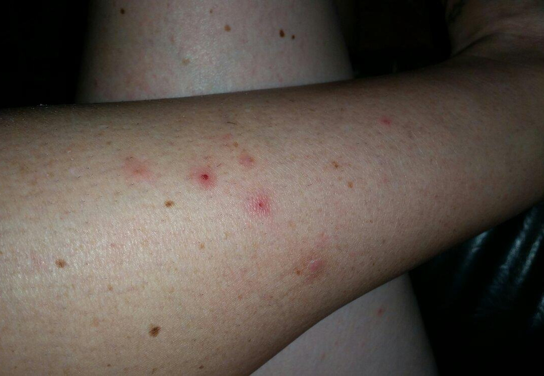 Royal Centrepoint Motel