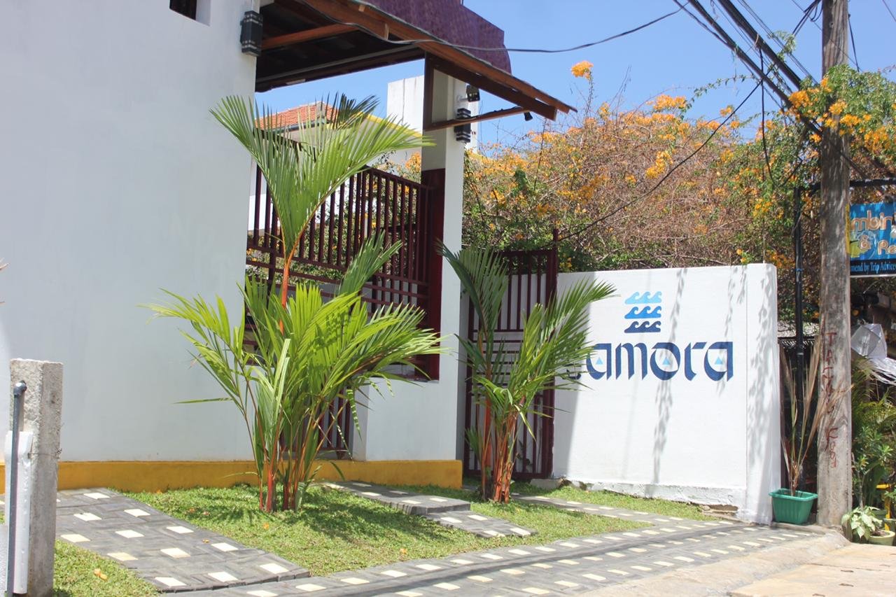The Amora-官方