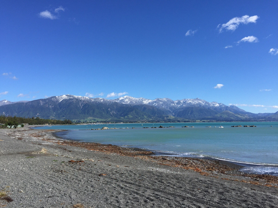 蓝色海洋汽车旅馆