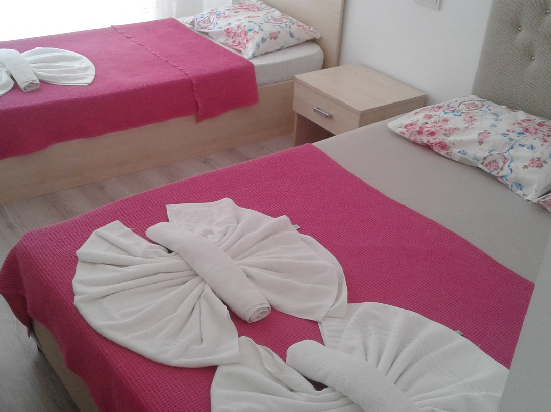 Fevzipasa酒店住宿-Safi Hotel