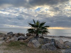 Kingston Park Coastal Reserve-Kingston Park必去景点