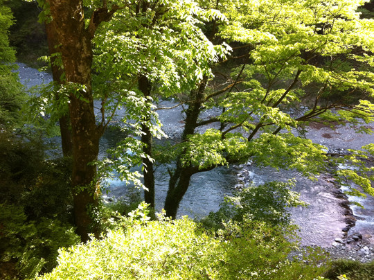 奥多摩町酒店住宿-奥多摩温泉乡观光庄旅馆