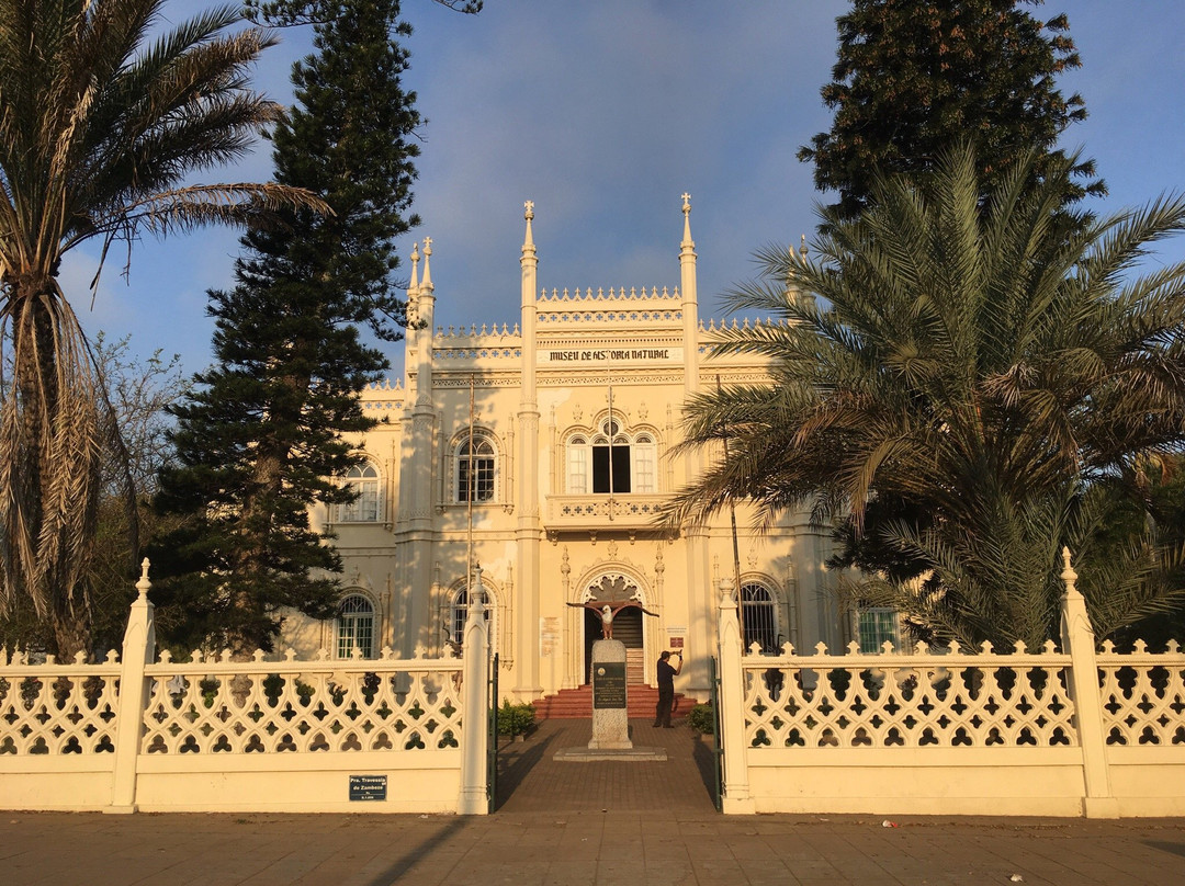 Museu De História Natural de Maputo景点图片