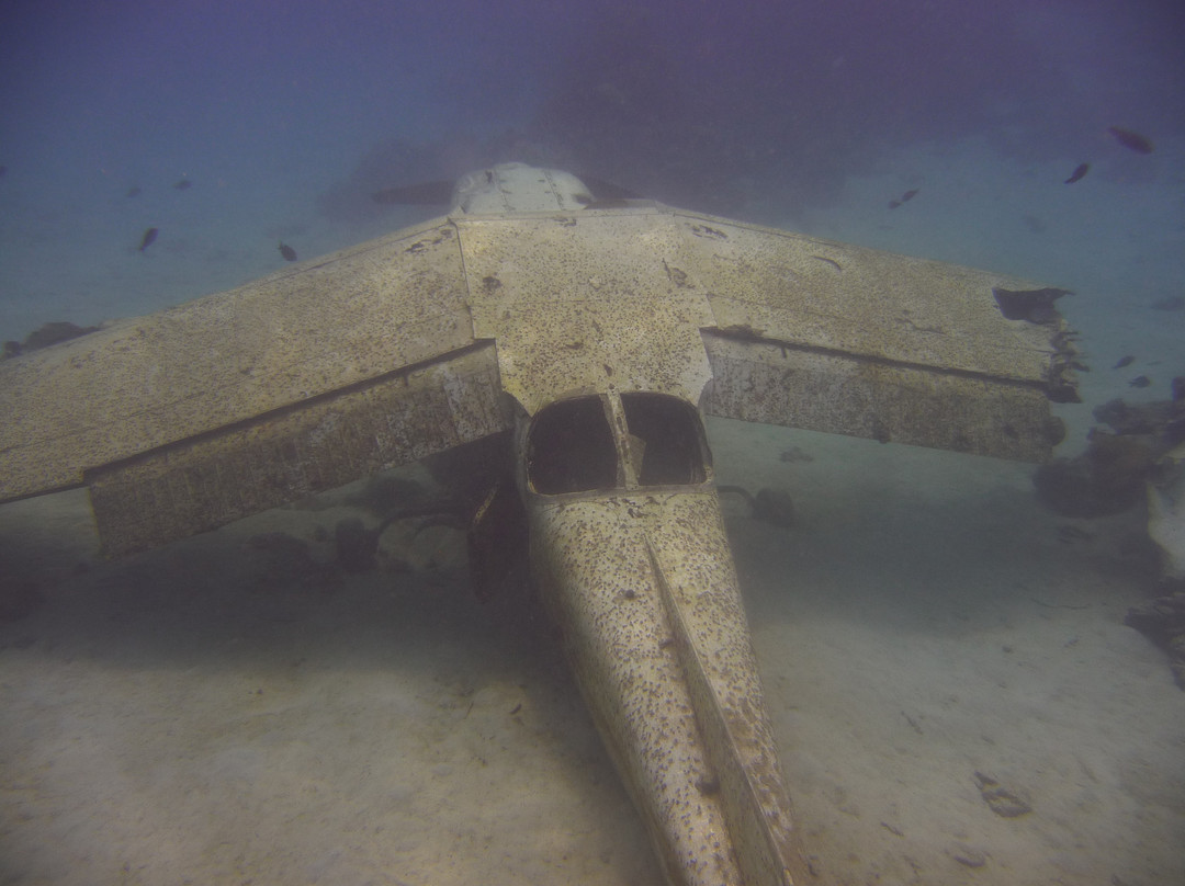 TOPDIVE Tahiti景点图片