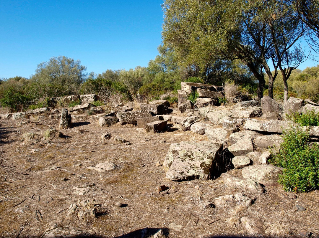 Le Tombe di Biristeddi景点图片