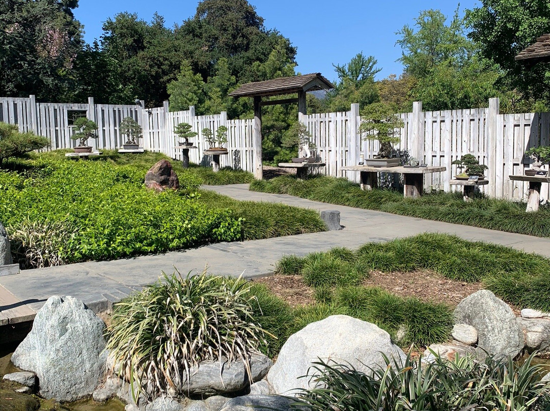 Huntington Japanese Garden-圣玛利诺必去景点