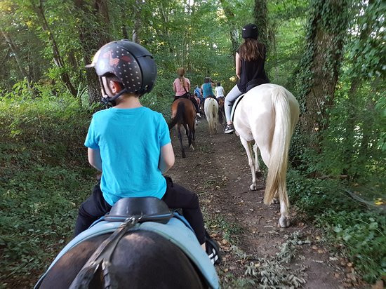 Gite Equestre Domaine Des Crins