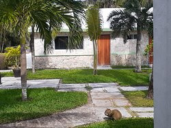 Hotel Akumal Caribe主图