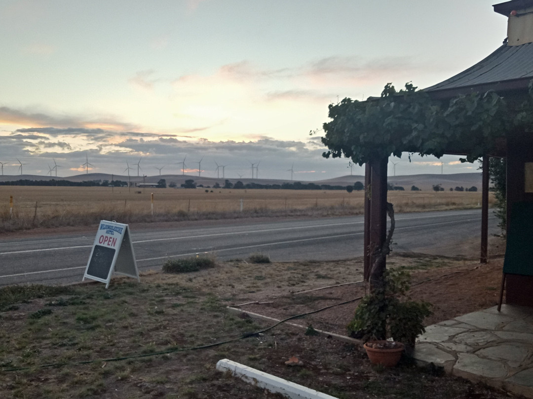Wildongoleechie Hotel