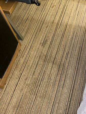 米尔顿快捷假日酒店主图