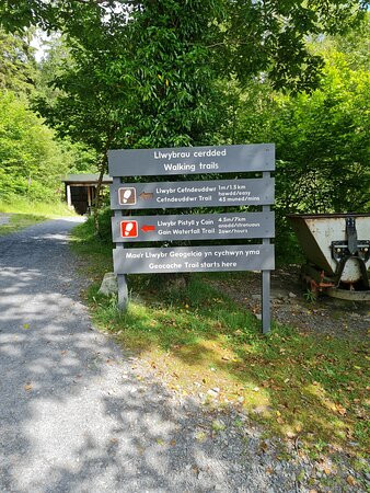 Coed y Brenin Forest Park景点图片