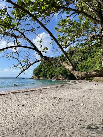 Anse Couleuvre-Le Precheur必去景点