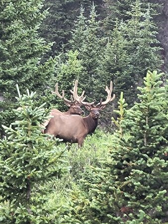 Images of Rocky Mountain National Park-埃斯蒂斯公园必去景点
