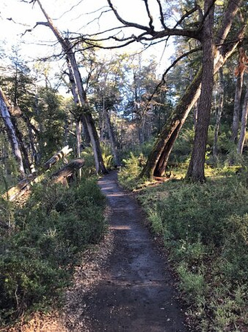 Cascada Chachin - Hua Hum-圣马丁德洛斯安第斯必去景点