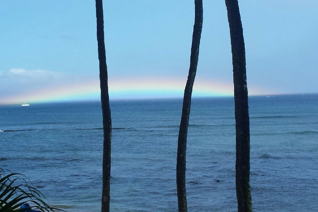 Hale Mahina Beach Resort主图