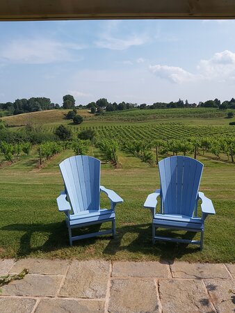 Three Choirs Vineyards-酒店景观