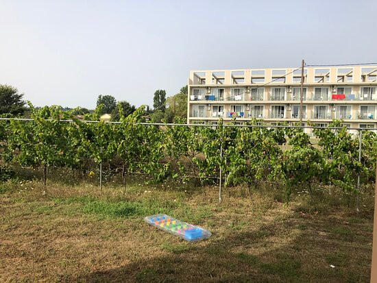 Angela Beach Corfu Hotel & Apartments主图