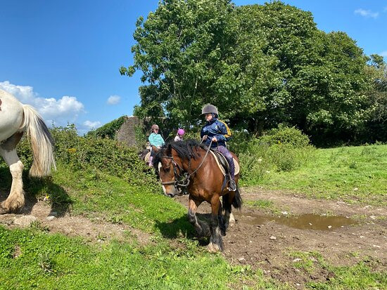 Boskill Equestrian Centre v94 yv83-Caherconlish必去景点