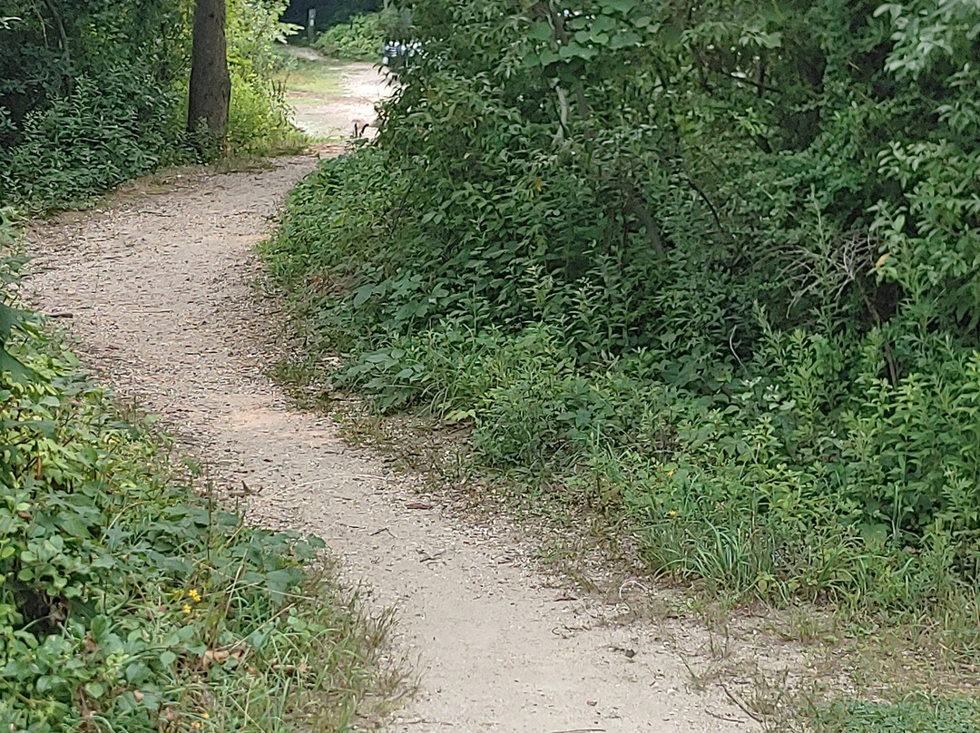 Millers Pond-Smithtown必去景点