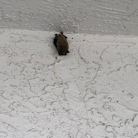 Grand Forks Inn主图