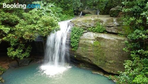 Buderim Forest Hideaway