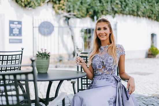 Hiša Joannes Protner Winery-Malecnik必去景点