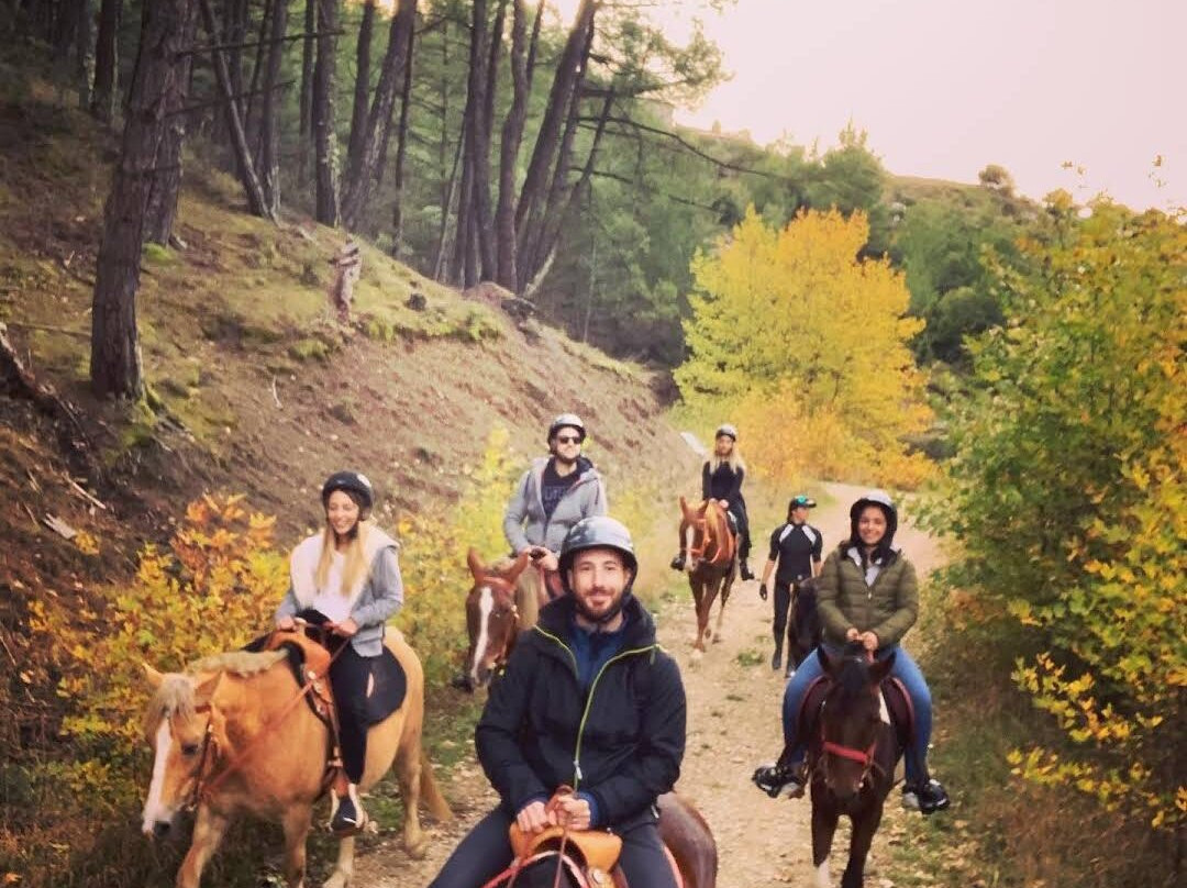Vytina Horse Club