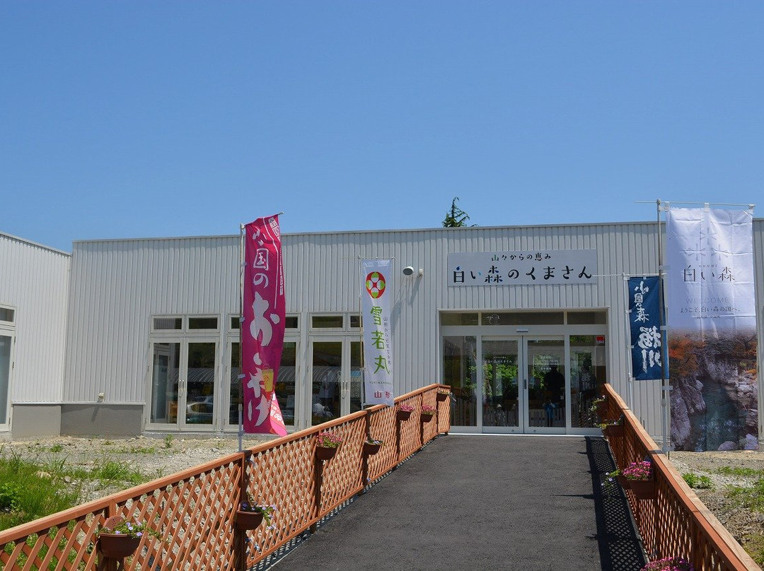 Michi-no-Eki Shiroimori Oguni景点图片