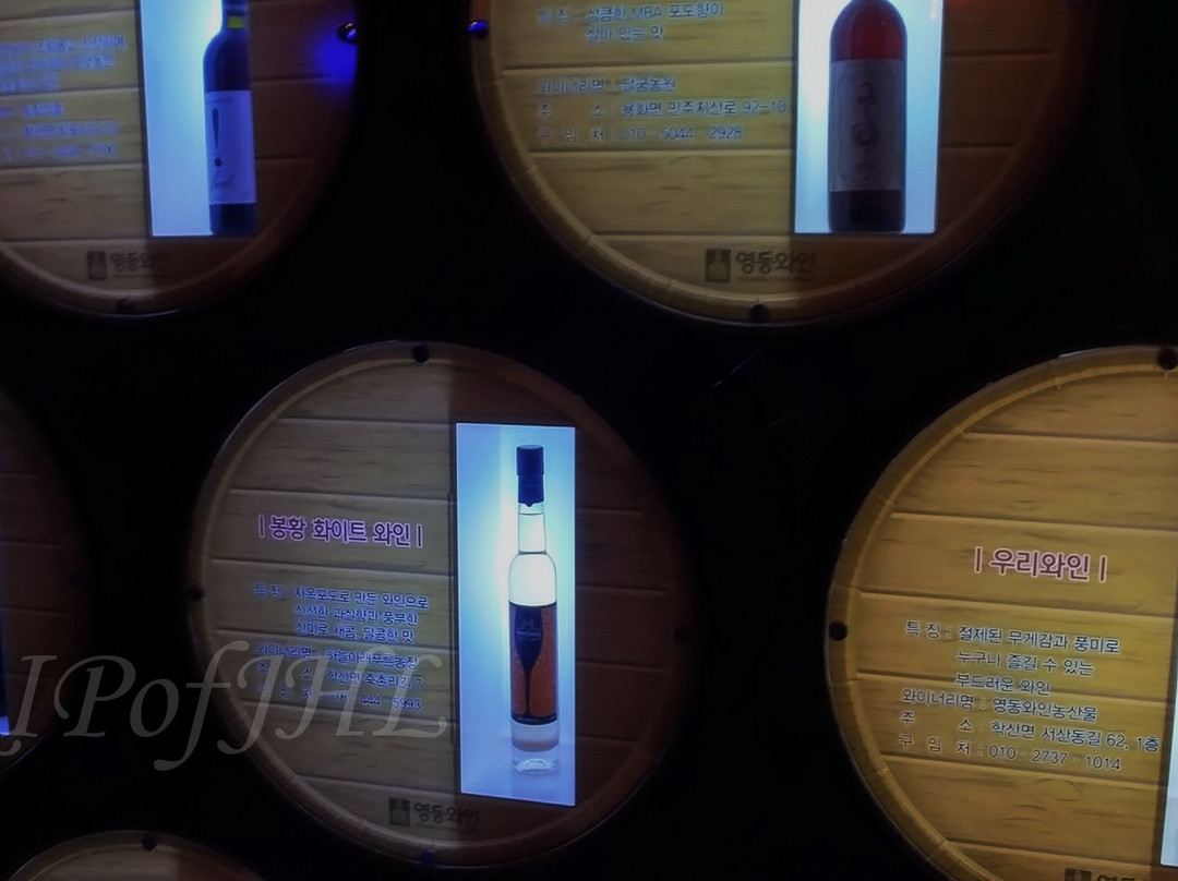 Wine Tunnel-永同郡必去景点