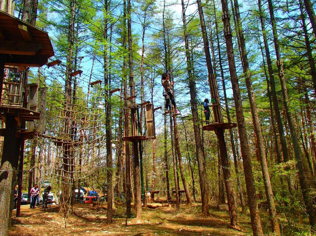 Forest Adventure Mt.Fuji景点图片