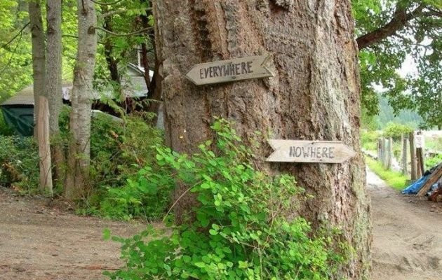 Savary Island旅游攻略图片