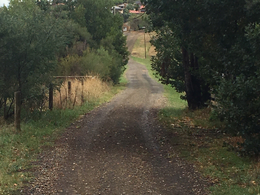 Challenger St Reserve-Diamond Creek必去景点