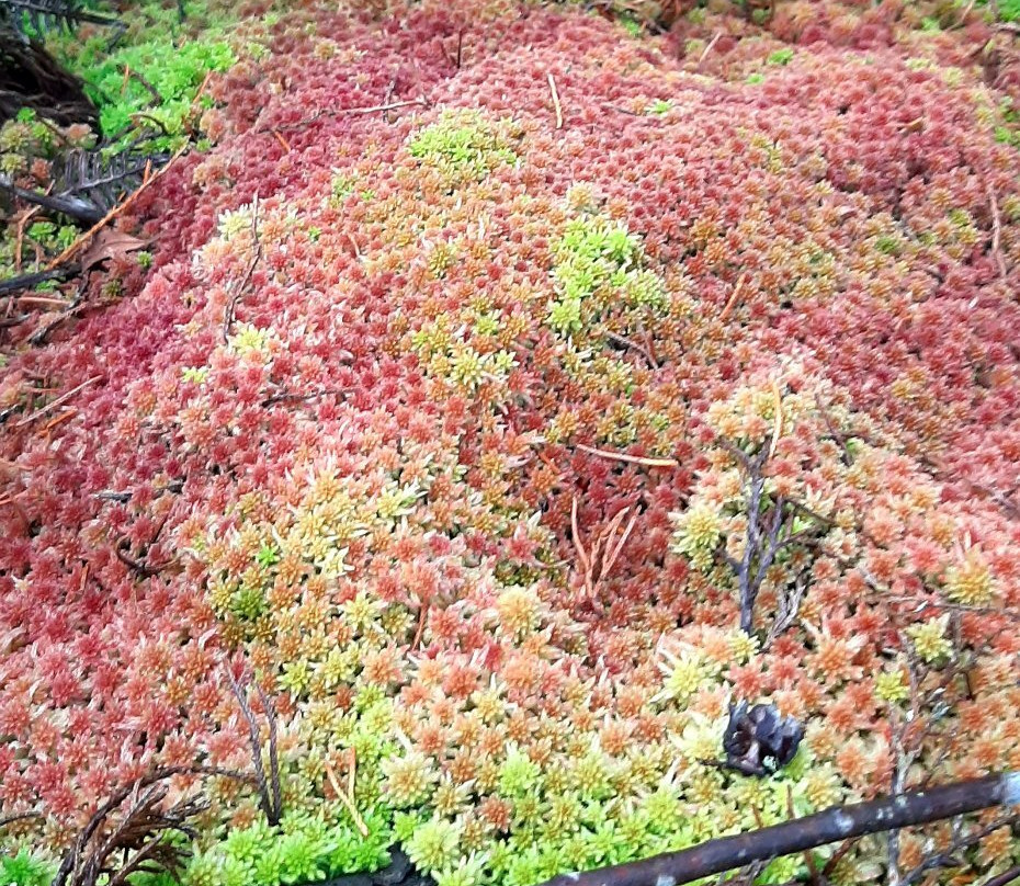 Villa Luney-恩维加多必去景点