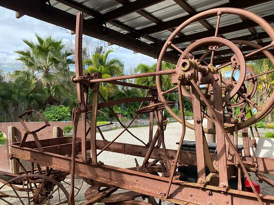 Southern Fresh Farms-迈尔斯堡必去景点