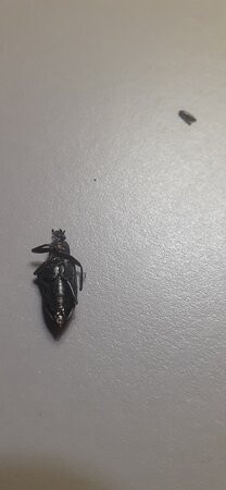 Meninya Palms Moama主图