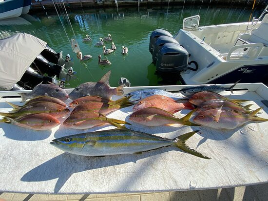 Captain J Fishing Charters-Tavernier必去景点