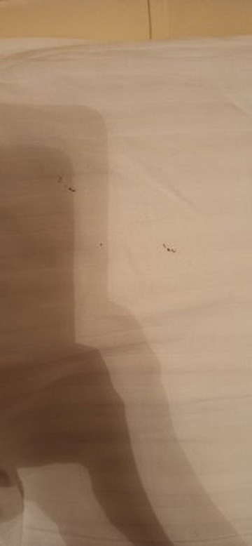 Nizam Butik Hotel Cafe & Rstaurant主图