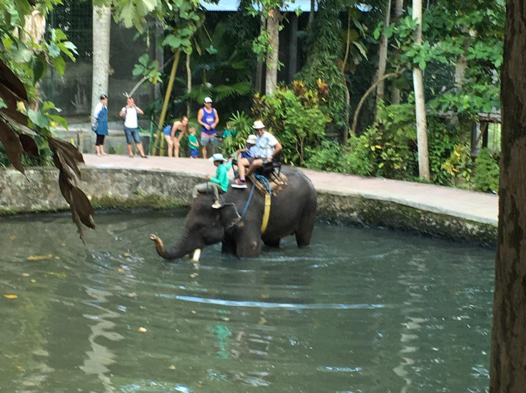 Bali Elephant Park景点图片