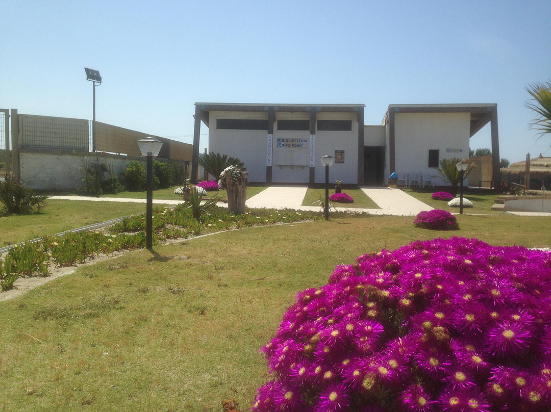 Maccarese Lido