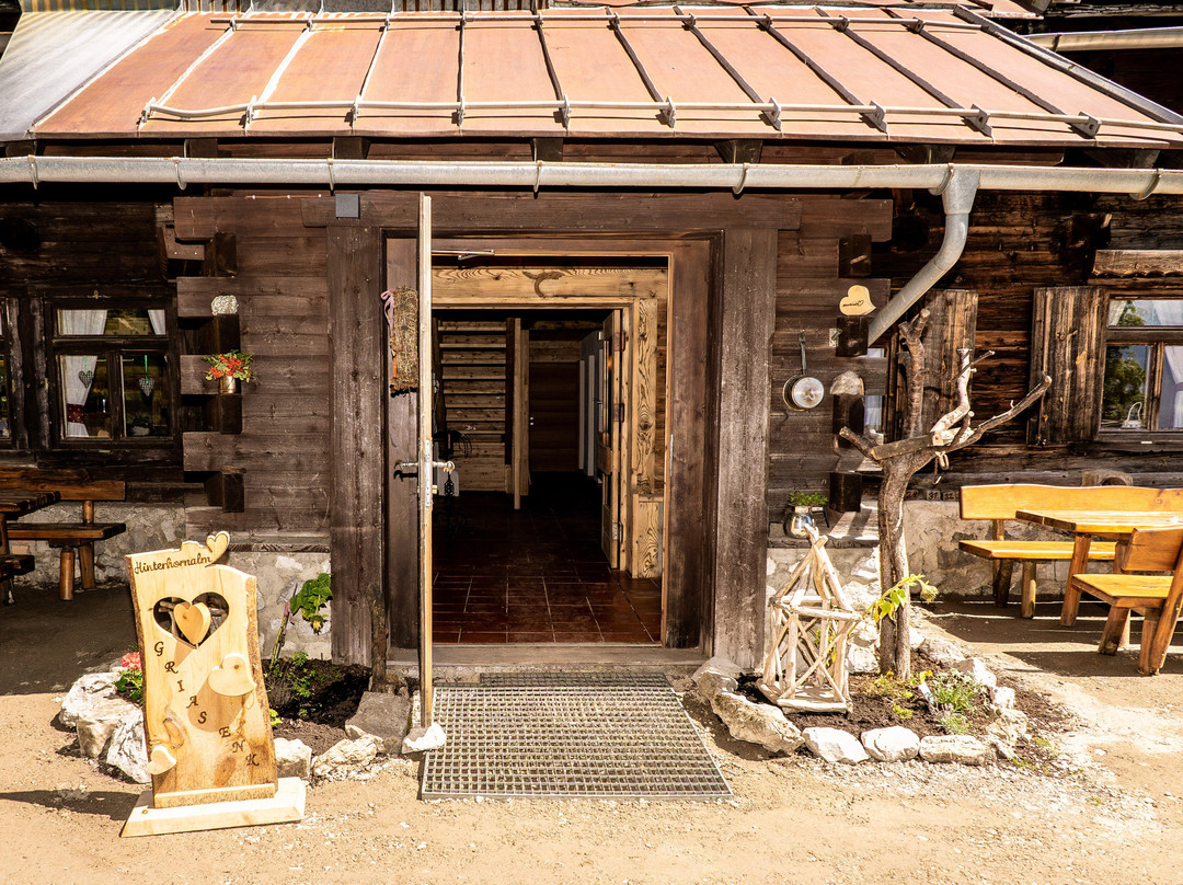 格纳登森林市餐馆和美食-Hinterhorn Alm