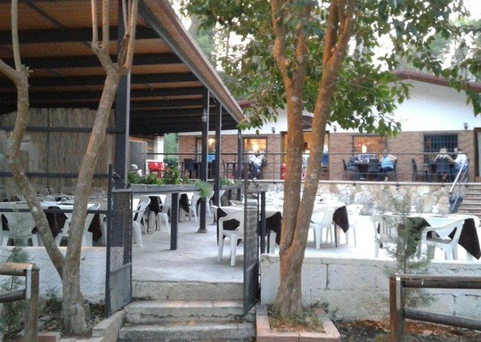 Ristorante Pizzeria Il Tronco