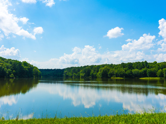 Charlie Elliott Wildlife Center-Mansfield必去景点