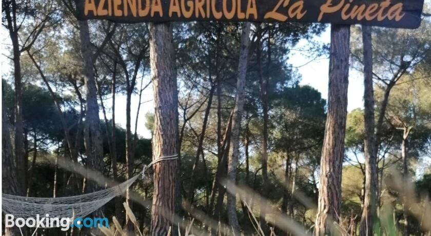Agricampeggio la Pineta
