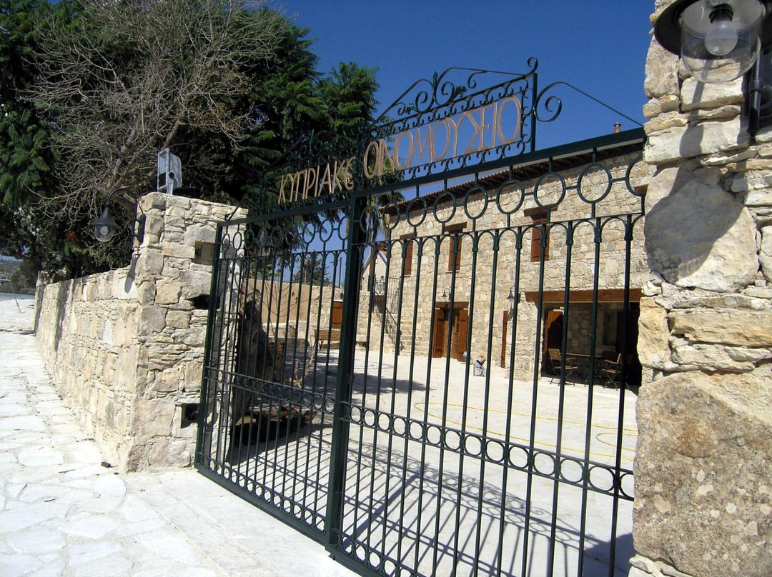 Cyprus Wine Museum景点图片