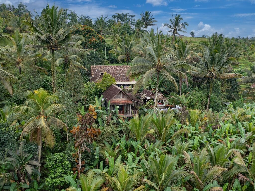 Niente Bali