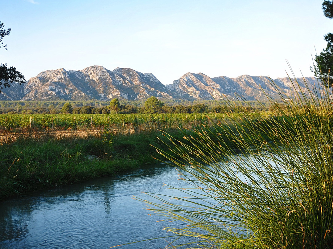 Domaine Des Terres Blanches景点图片