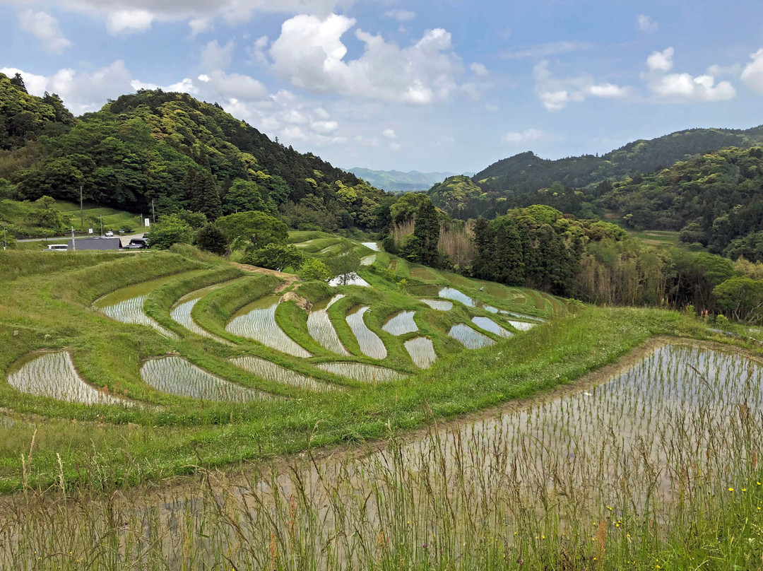 Oyama Rice Terraces景点图片