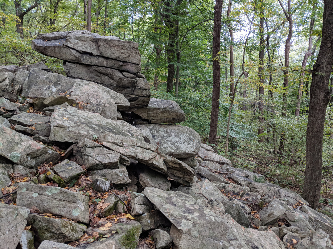 Natural Lands' Mariton Wildlife Sanctuary