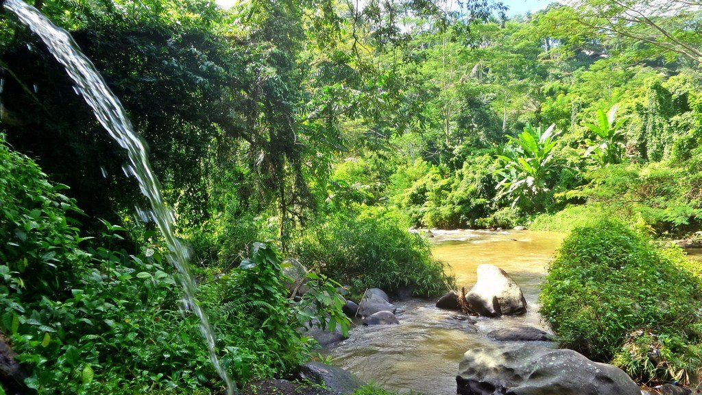 Guide Francophone a Bali-登巴萨必去景点