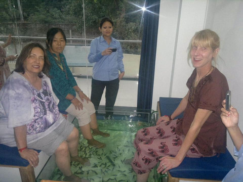 Hrishikesh旅游景点-Nibbles Spa